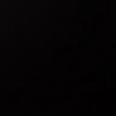 Profile image of 성한빈