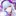 夢見月 瑞希