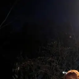 OpaqueDodo3948의 이석민