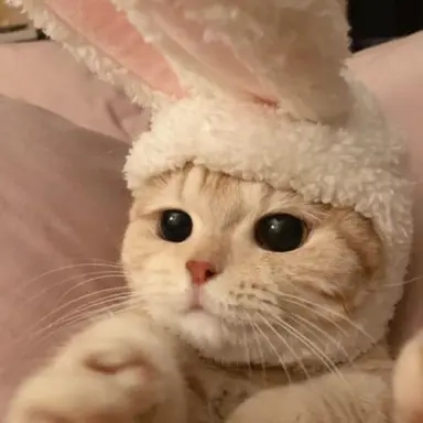 Profile image of 시찬