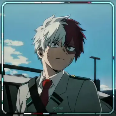 Profile image of Shoto Todoroki