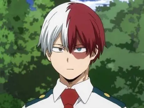 Profile image of Shoto Todoroki
