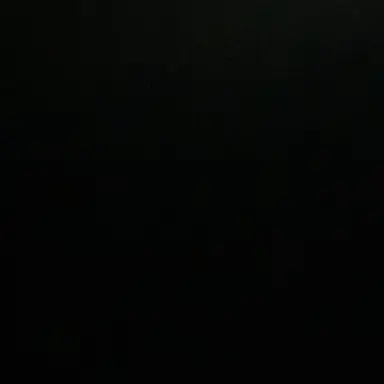 Profile image of M