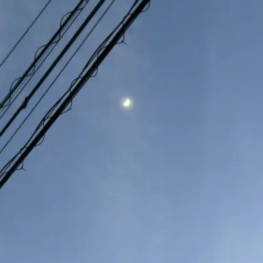 Profile image of SnowMan