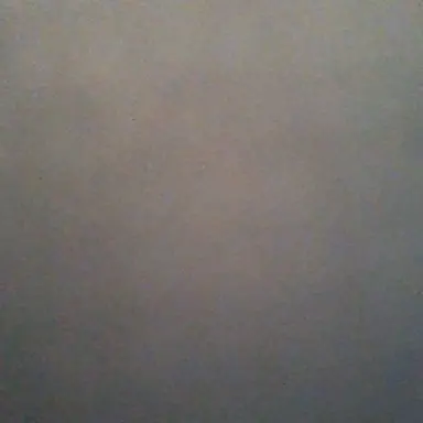 Profile image of 미나