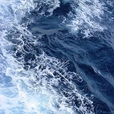 Profile image of 파크모