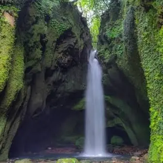 Profile image of リーシャ