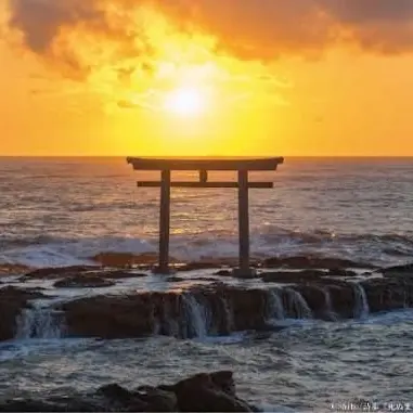 Profile image of ニフライ