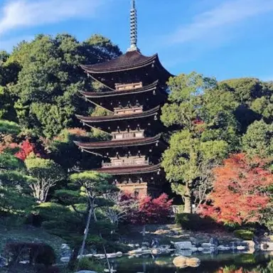 Profile image of 山口