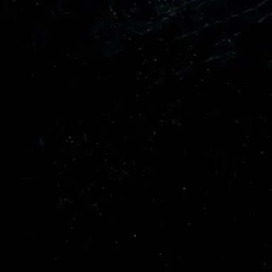 Profile image of 김주현