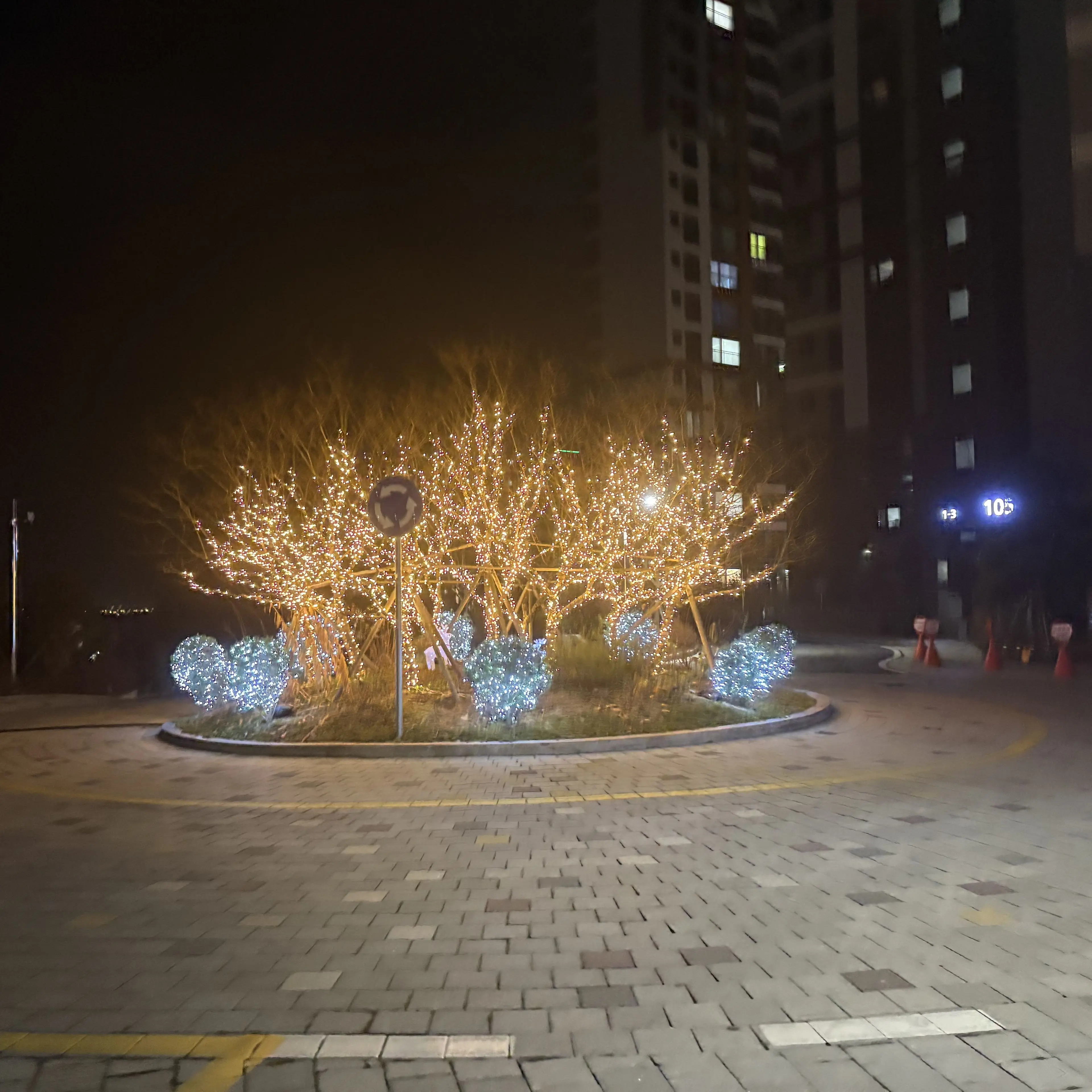 NosyLip6055의 일진의 남동생들