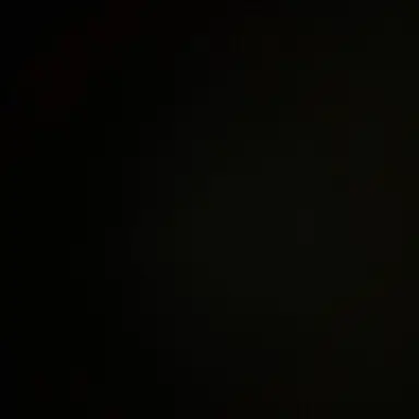 Profile image of 김시은
