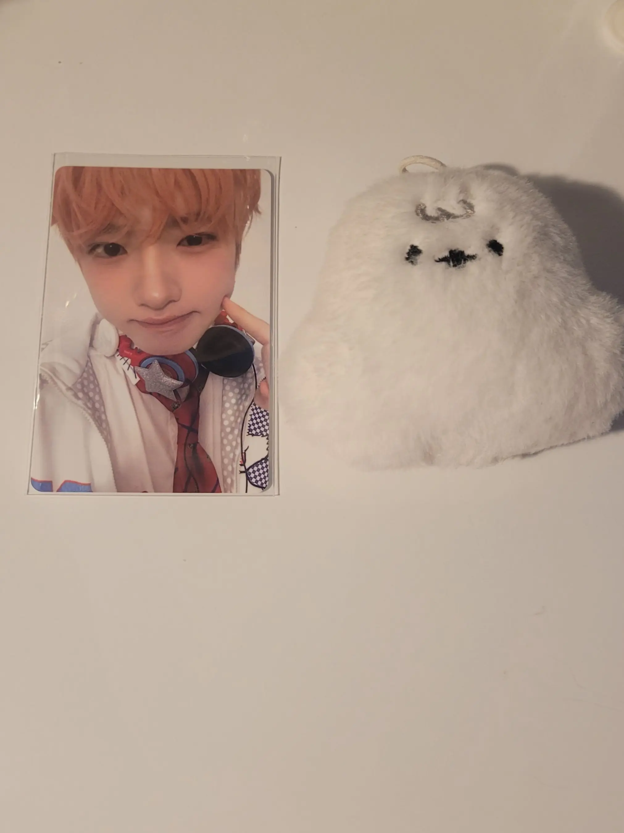 seedTheCooJjyang의 후지나가 사쿠야