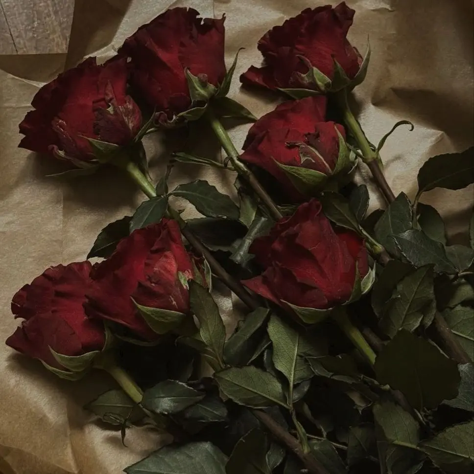 MIGIOTA의 ゲームのキャラに恋をした