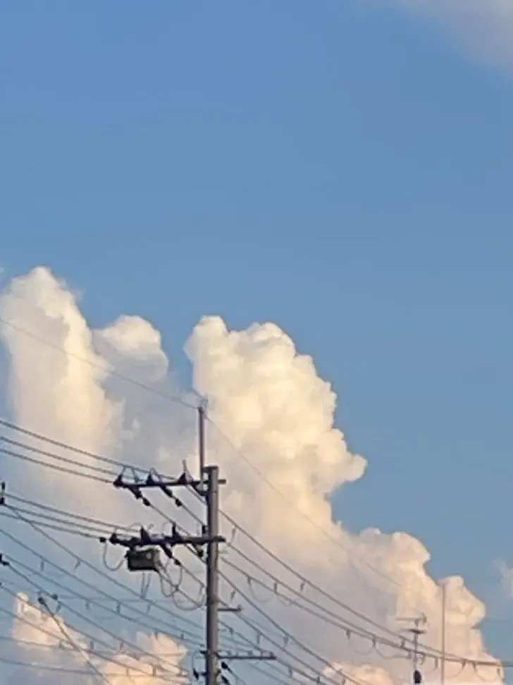EarthyArmor7963의 真夏の幻影