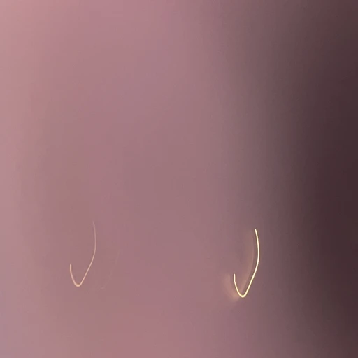정국
