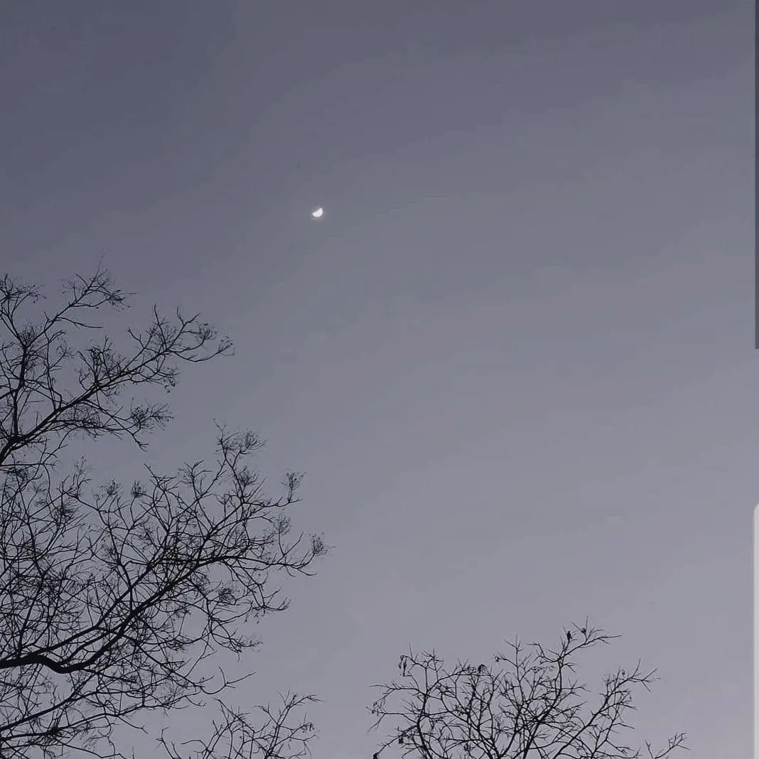 moonlightuandi의 개인용