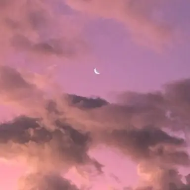 Profile image of 선생님