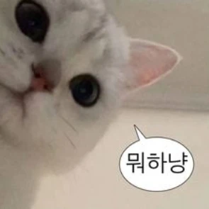베리