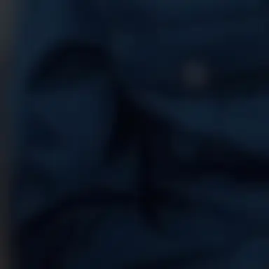 Profile image of リノ