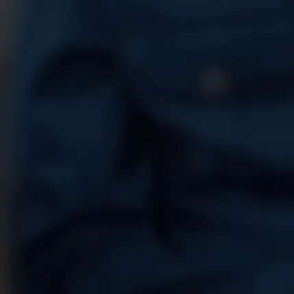 Skz.143의 猫警察【이민호】