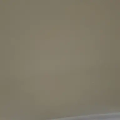 Profile image of 이차니