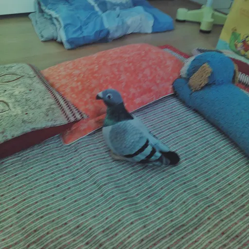 LaxestBird9149의 멸치볶음 비둘기