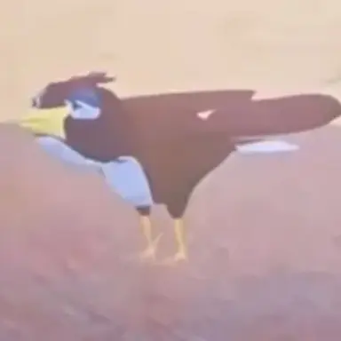 Profile image of 새