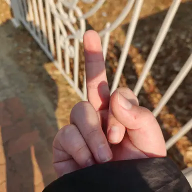 Profile image of 늑대