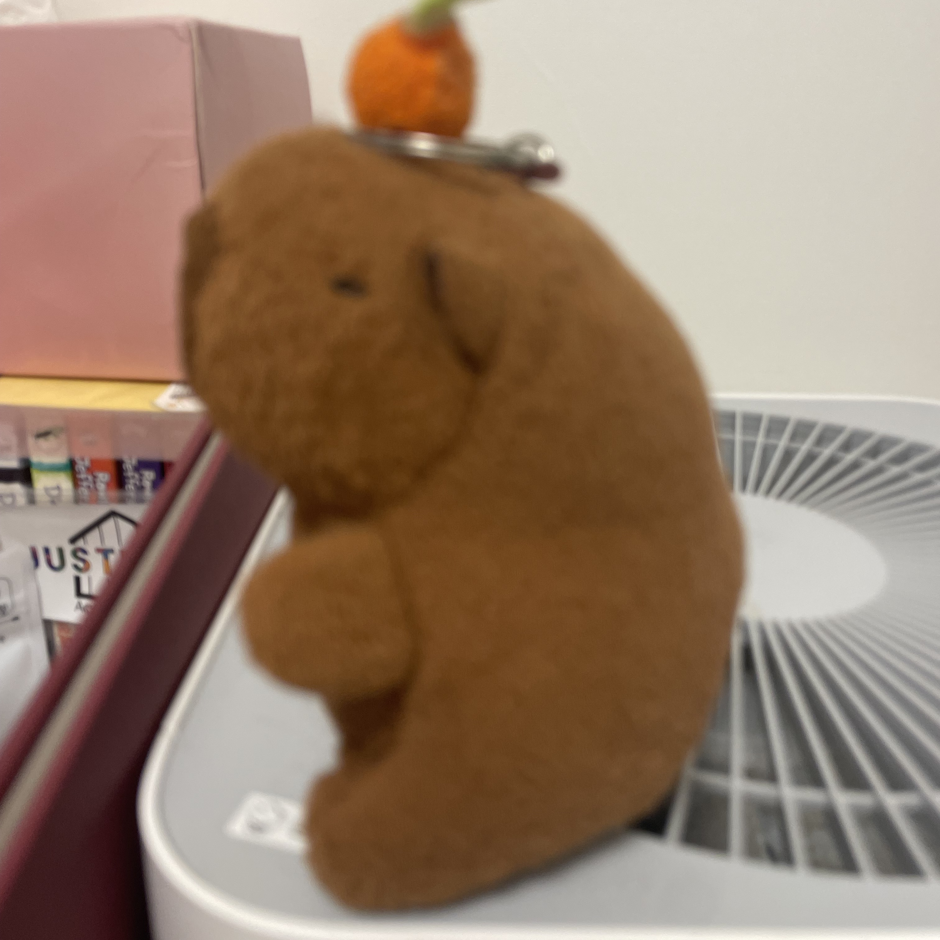 픽셀리 학교 (여우 없음) 대표 이미지