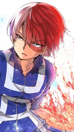 Profile image of Shoto Todoroki