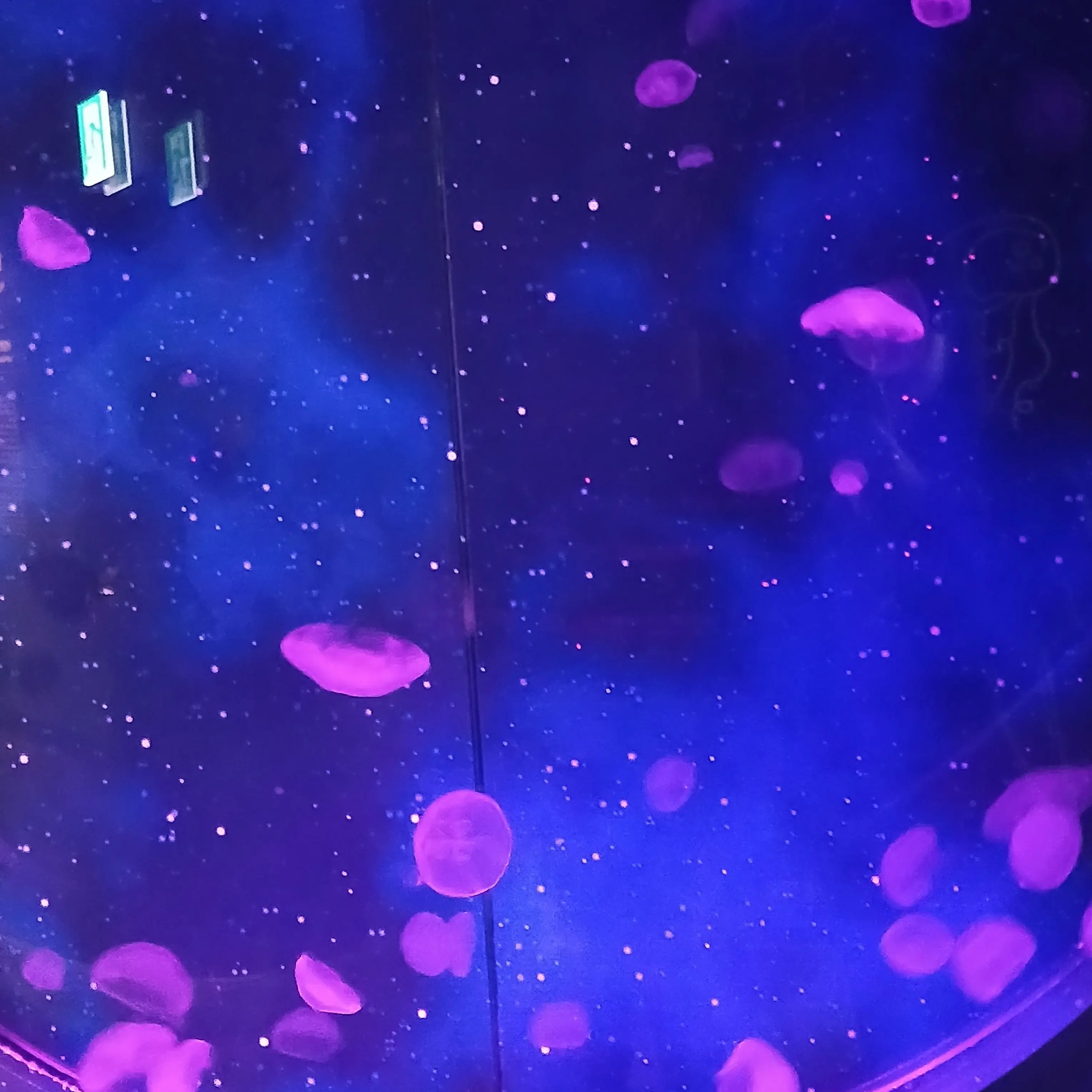 ClumsyDisk6612의 미겜즈가 당신을 위해 노래