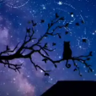 Profile image of スティンガー フリン