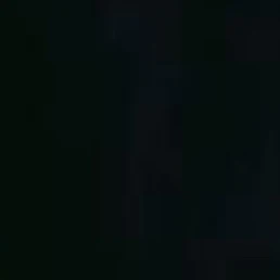심재윤