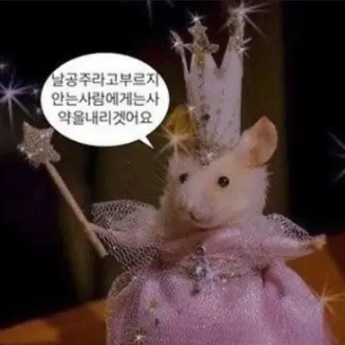 Profile image of 여우