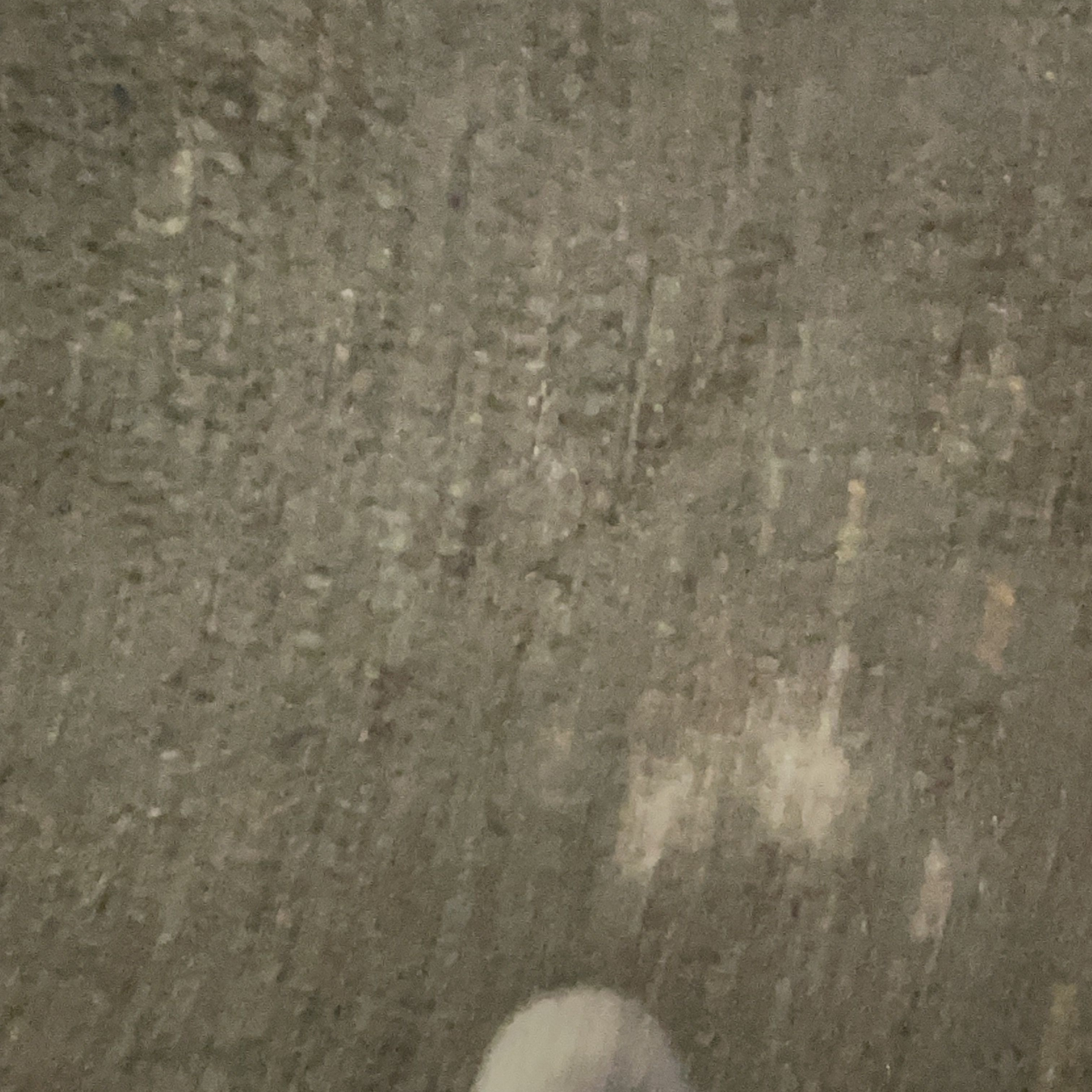 자유롭게 대표 이미지