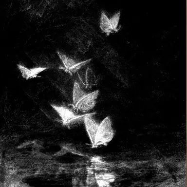 Profile image of 우융