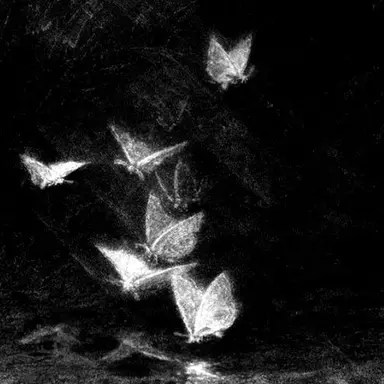 Profile image of 우융