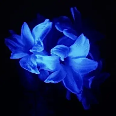 Profile image of 행크