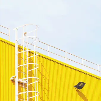Profile image of 쪼만
