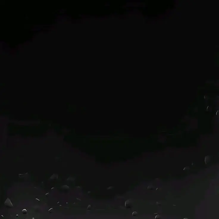 DrearyBelt6016의 大家族