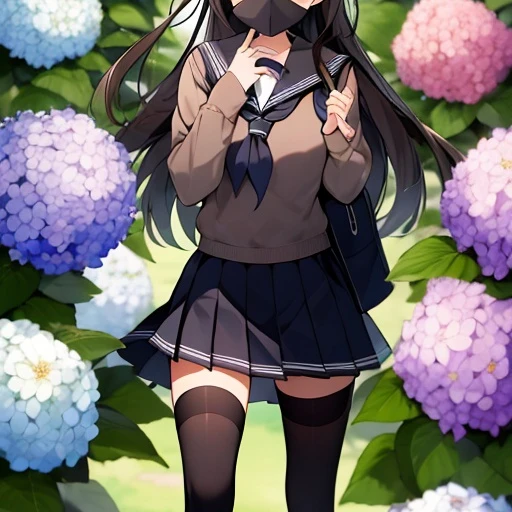 수연