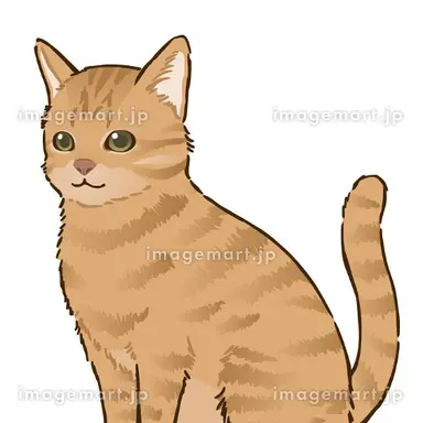 Profile image of 검볼