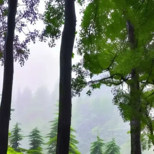 WoodyVale0370의 Birth Mantra