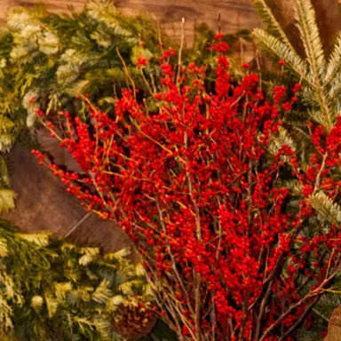 Profile image of 김민정