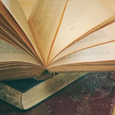 Profile image of ファディア