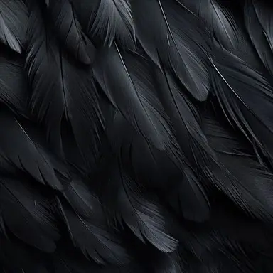 Profile image of クロウ