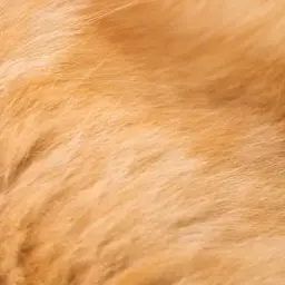 Profile image of ロウ