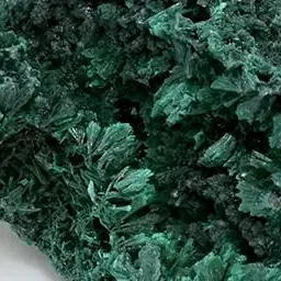 Profile image of ソフィ