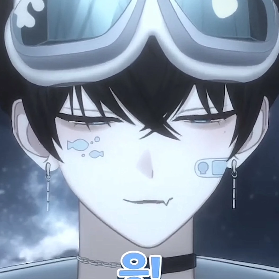 코유